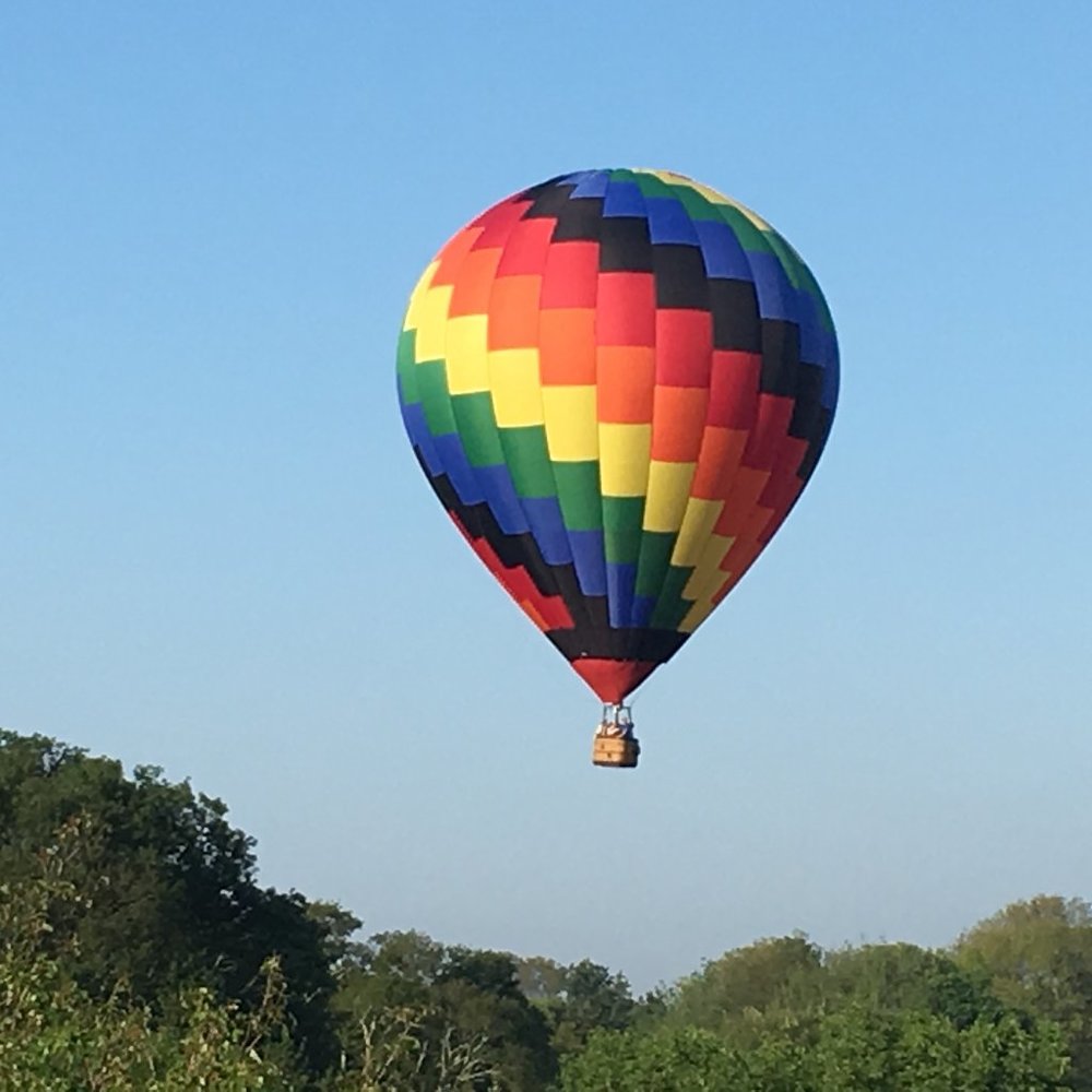 Meet your Posher, Niki